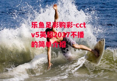 乐鱼足彩购彩-cctv5英超2017不播的简单介绍