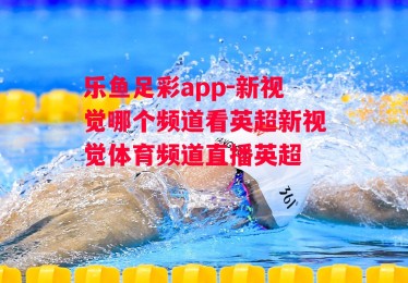 乐鱼足彩app-新视觉哪个频道看英超新视觉体育频道直播英超